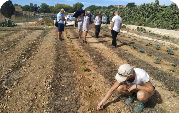 lifelong learning planting checking